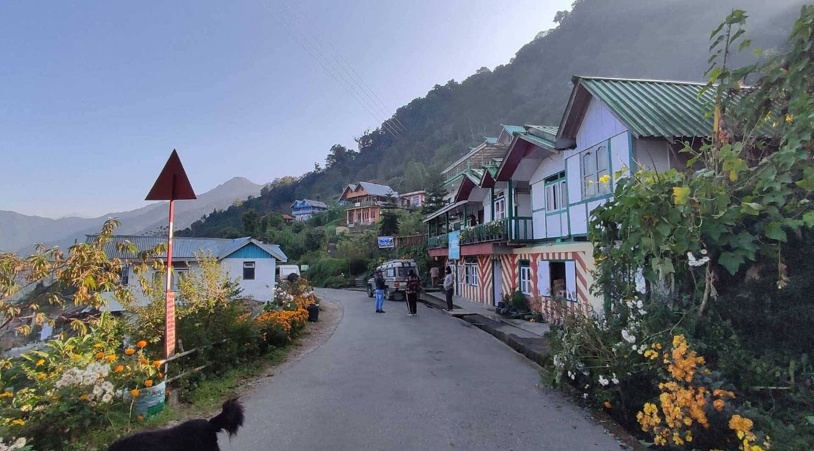 NIMBONG